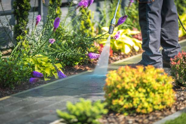 Best Fence Cleaning  in Lake Arbor, MD
