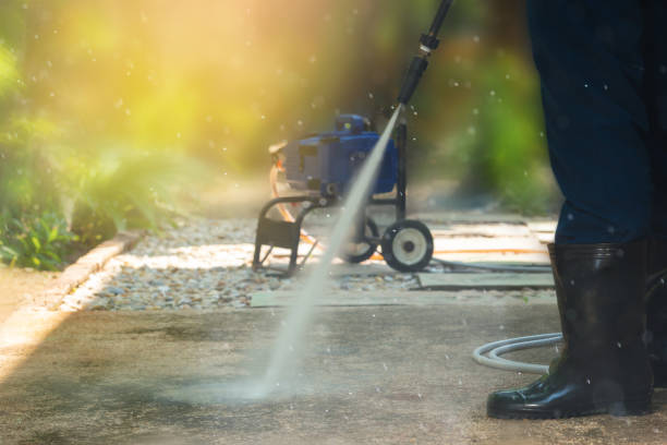 Best Driveway Pressure Washing  in Lake Arbor, MD